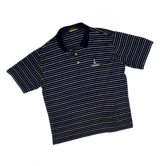 Vintage Arizona Biltmore Golf Club Polo Shirt Men’s L Navy Stripe Cotton - Picture 2 of 10